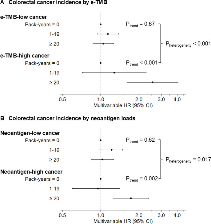 Forest plot of colorectal cancer incidence by tumor mutational burden and neoantigen load according to cumulative smoking exposure.